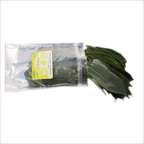 No Soursop Green Leaves - 200 Fresh Herbs | Suitable For All Age Groups, Antioxidant Properties, Store In Cool Environment