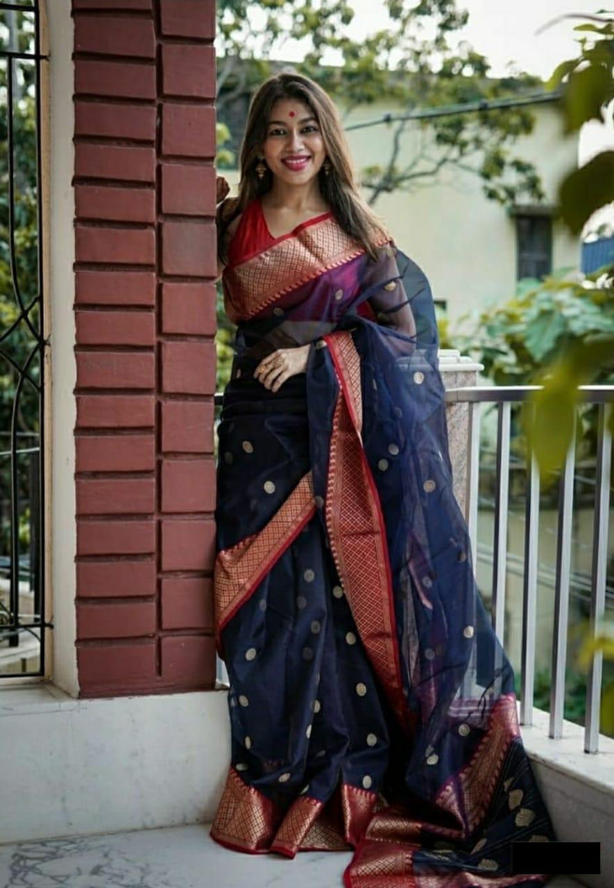 Multi Colour Banarasi Silk