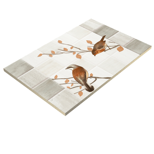 Any Color 300 X 450Mm Glazed Ceramic Wall Tiles