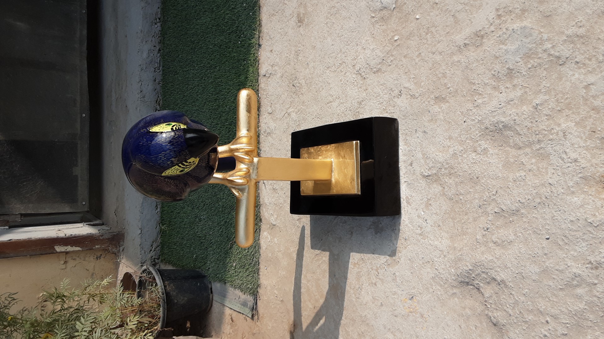 Blue Parrot