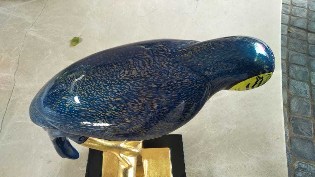 Blue Parrot