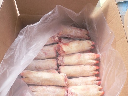 Quality Frozen Porks Meat