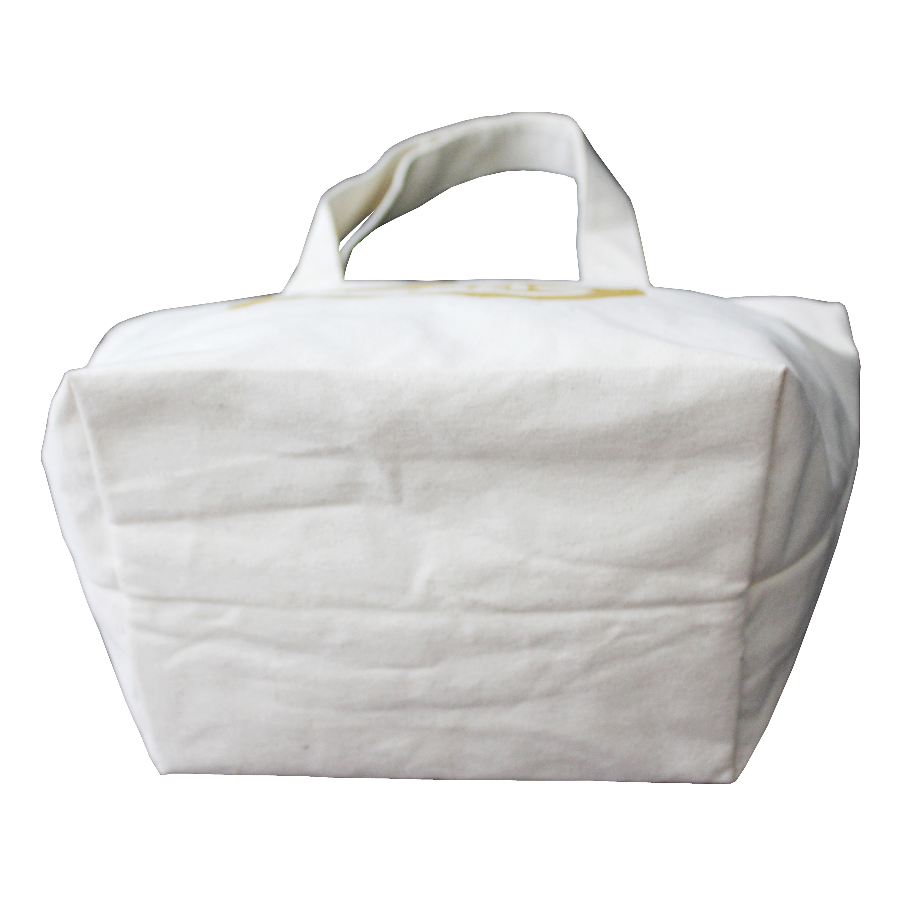 Natural Canvas Tote Bag With Open Hanging Pocket Capacity: 5 Kgs Kg/day