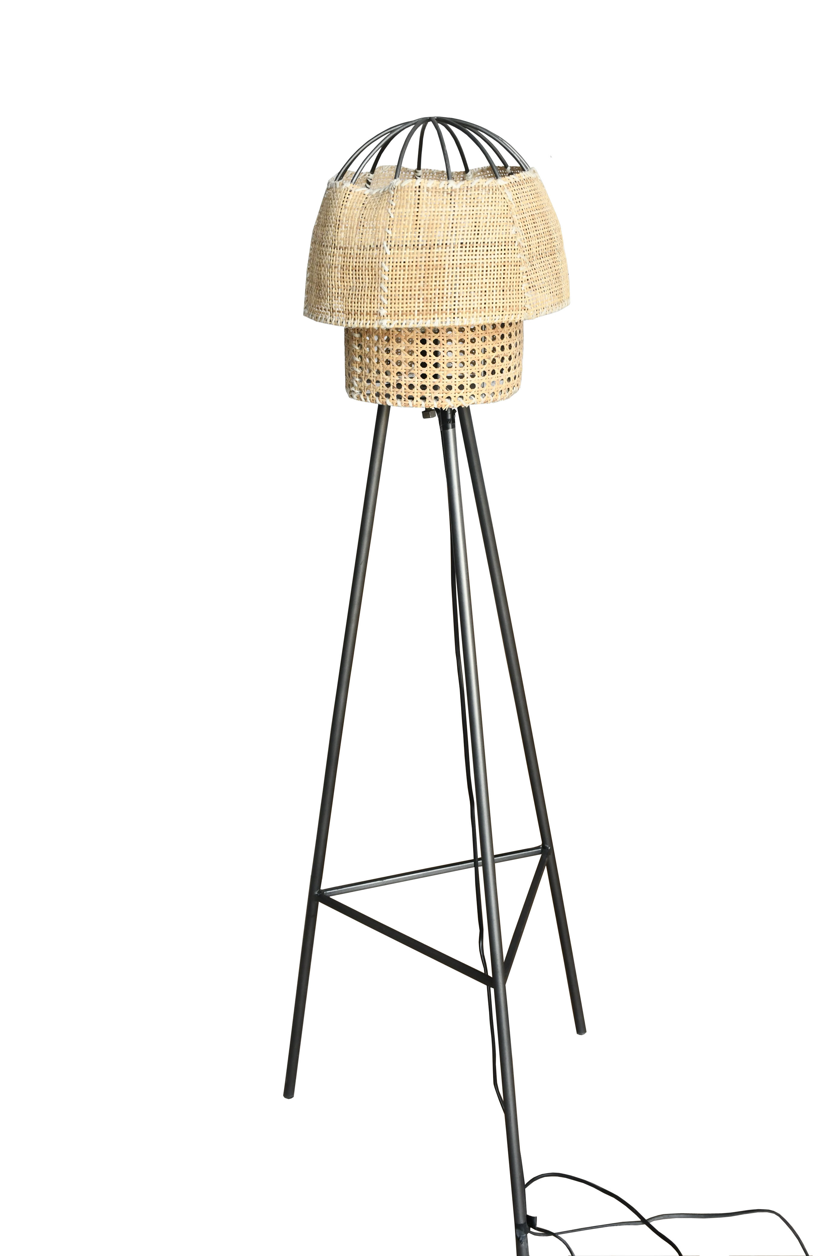 Furniture Iron & Cane Floor Lamp