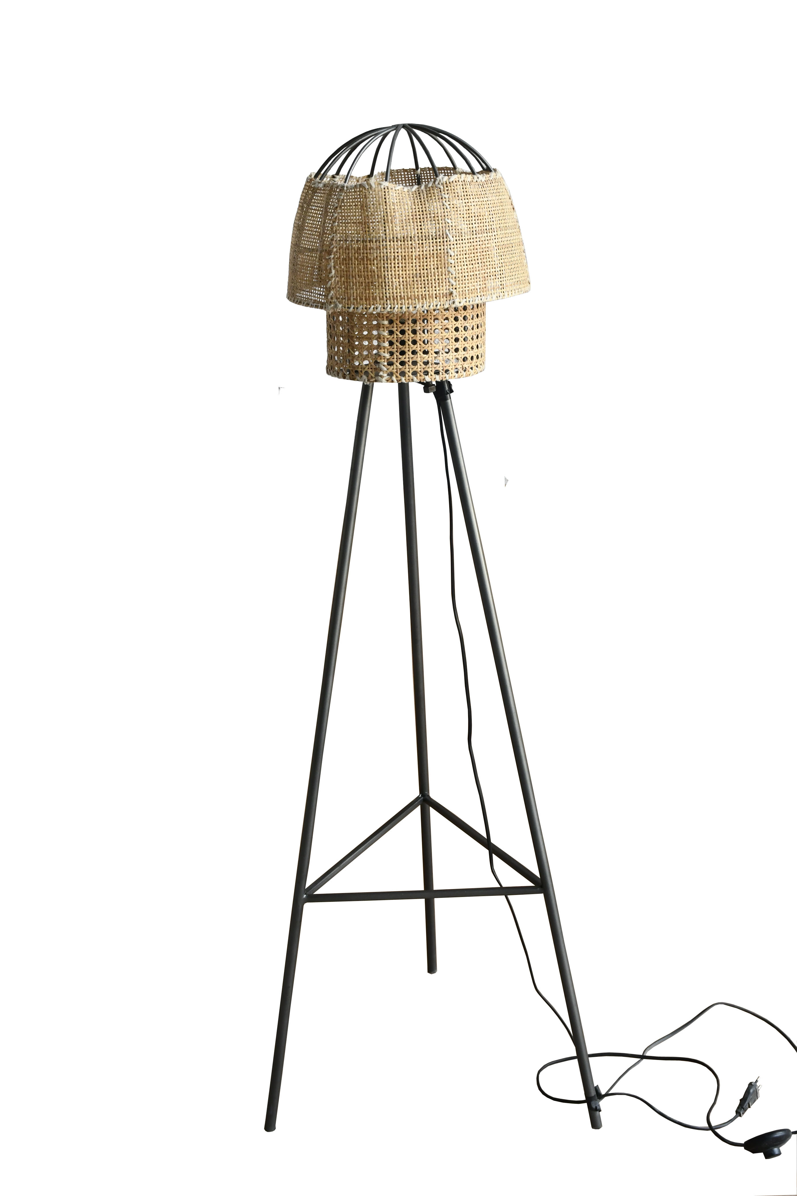 Furniture Iron & Cane Floor Lamp