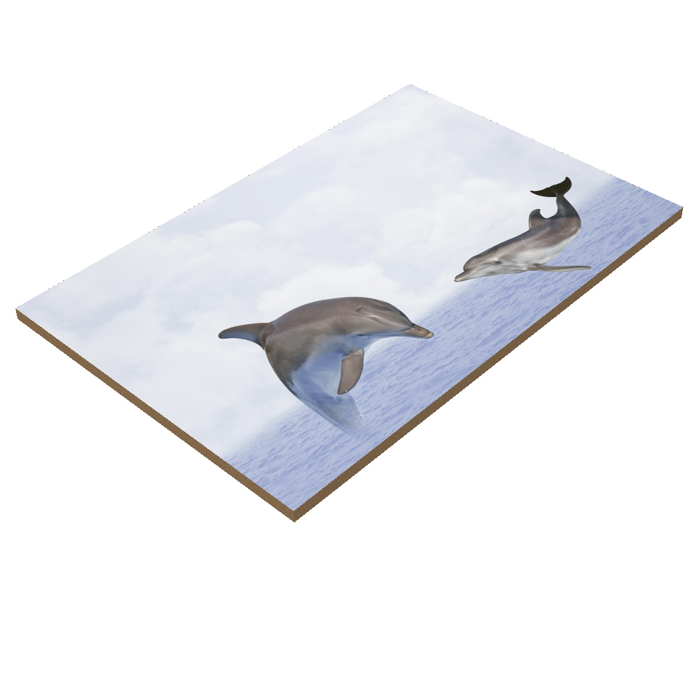 Any Color Cheapest Price 300x450mm Glossy Finish Wall Tiles