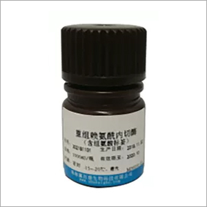 कॉस्मेटिक रोगाणुरोधी के लिए खाद्य स्वाद पेप्टाइड पाउडर पुनः संयोजक लाइसिल एंडोपेप्टिडेज़