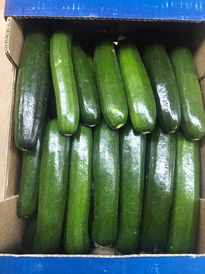 Green Cucumbers Moisture (%): 100%