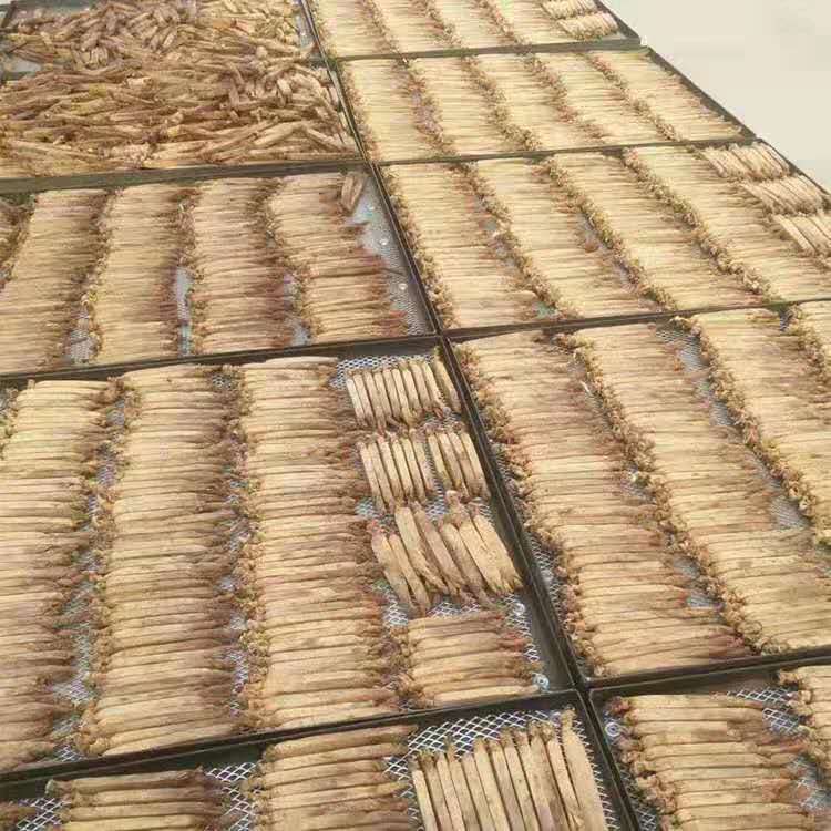 Organic High Quality Korea Ginseng Root Slices