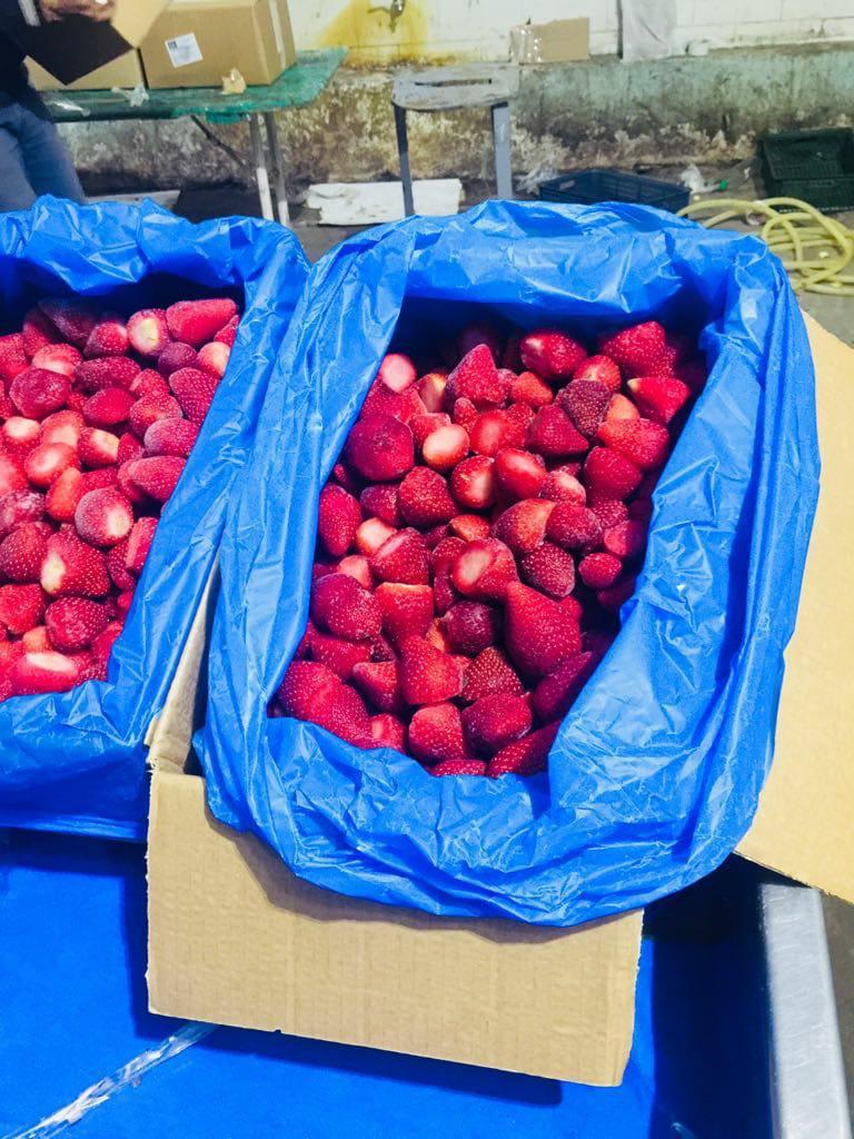 Frozen Strawberries - 10 Kg Carton, Red Color, Whole Organic Variety, Size 1-2 Inches, 100% Maturity, Fresh Style, Crop Year 2020