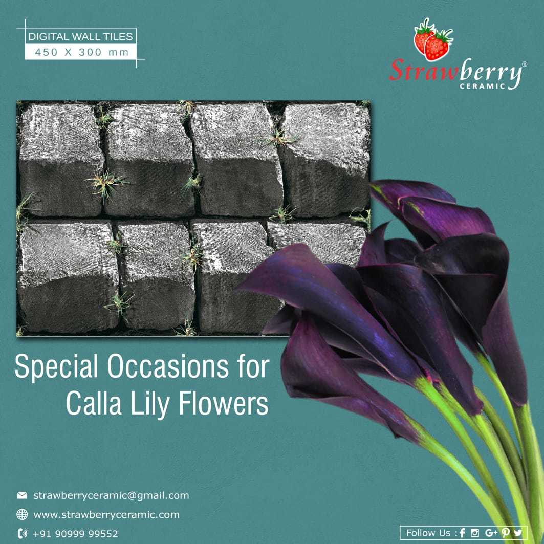 Artistic Ceramic Wall Tiles - 400 X 800 Mm | Gray Matte Finish, Unique Aged Stone Effect, Modern And Traditional Design