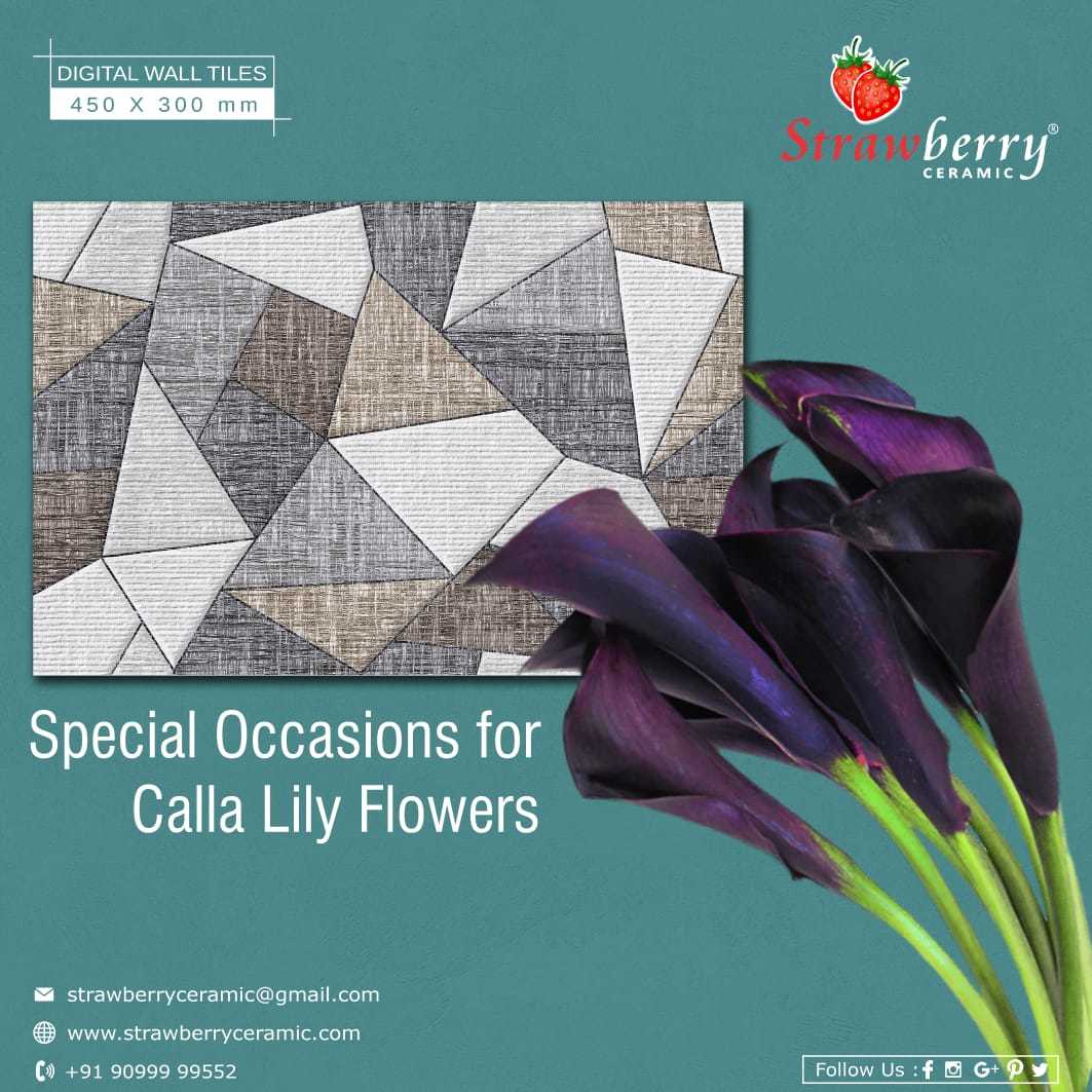 Ceramic Wall Tiles