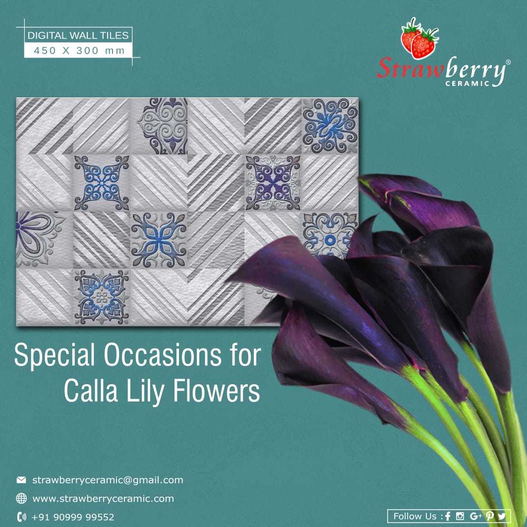 Designer Wall Tiles - Ceramic, 300x100 Mm, Multicolor | Stylish Design, Glossy Finish, High Durability, Slip Resistant, Water Resistant, Easy Installation