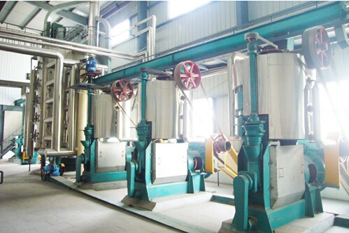 Oilseeds Cold Press Pretreatment Plant - Color: Green