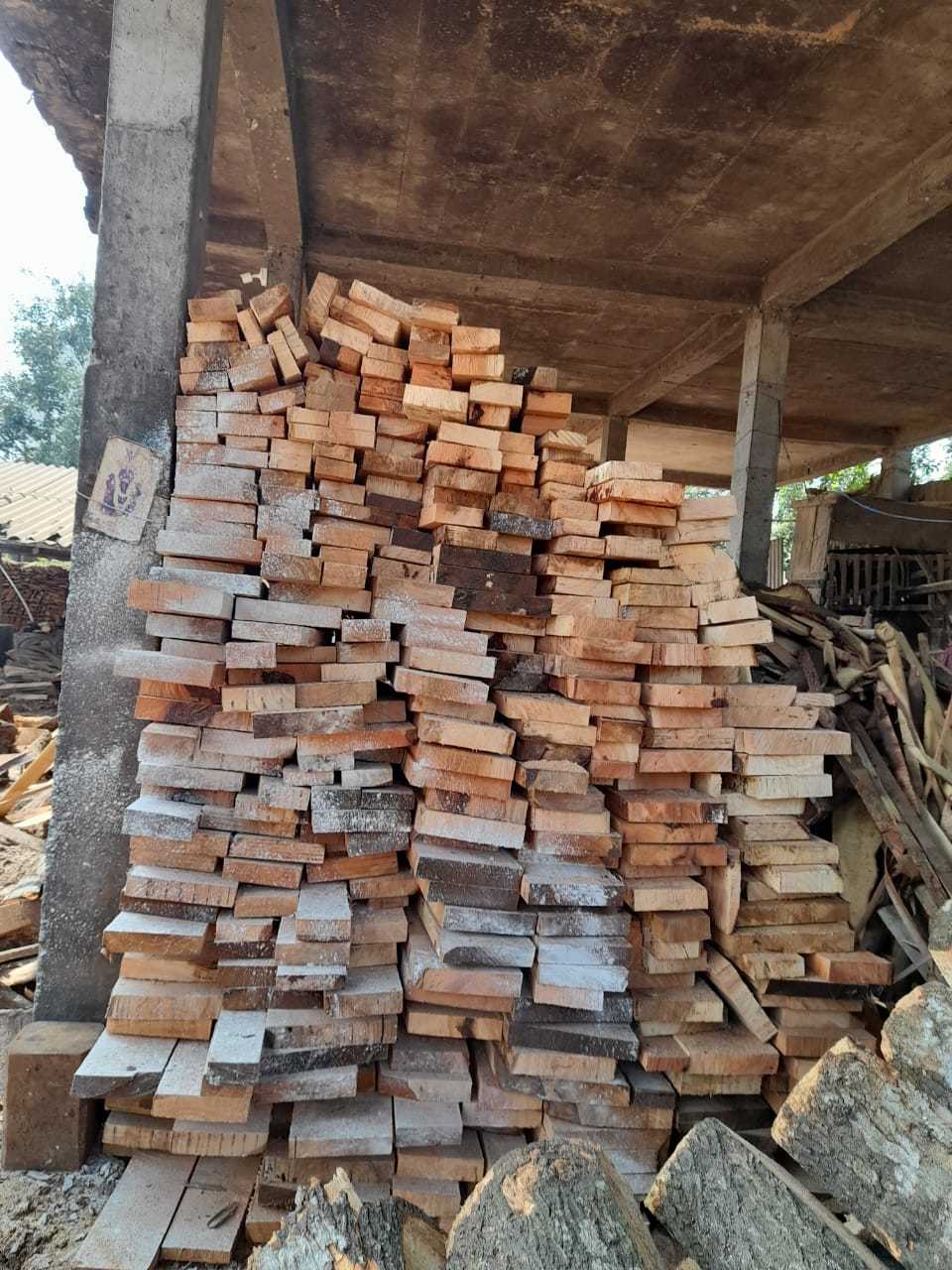 Mango Wood