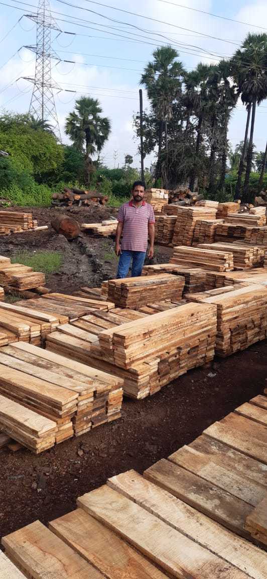Mango Wood
