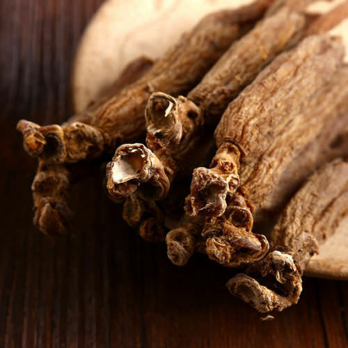 Panax Ginseng Root Unisex Dietary Supplement Red Ginseng