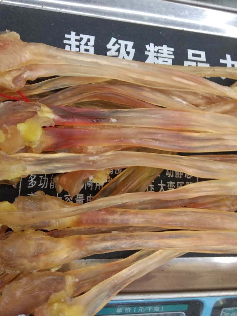 Dried Beef Tendon