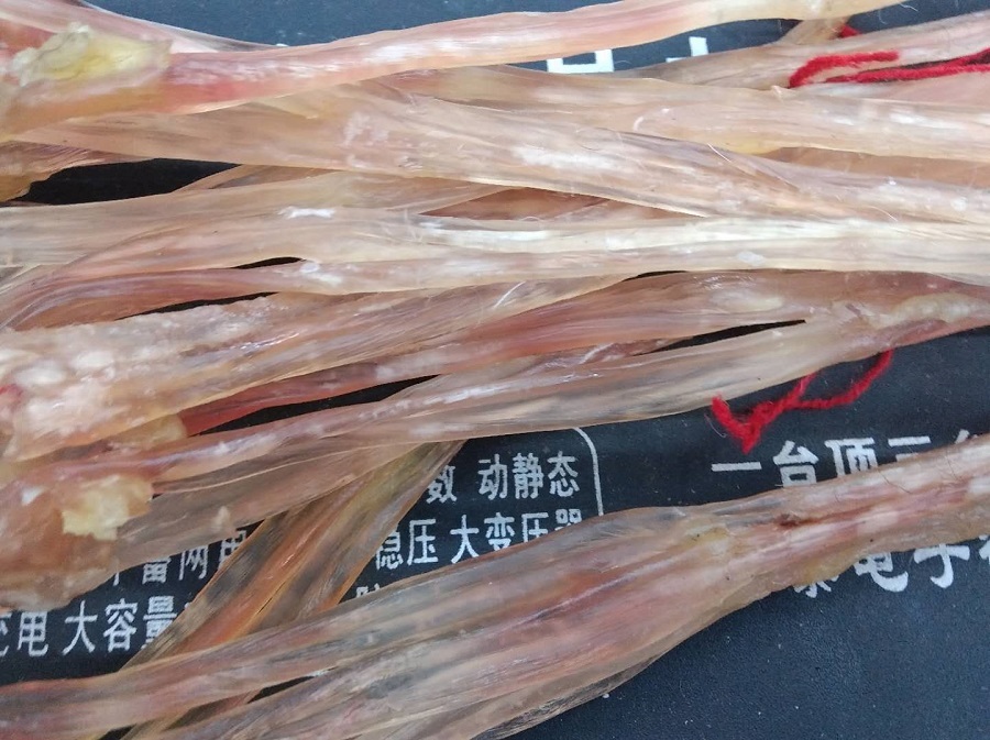 Dried Beef Tendon