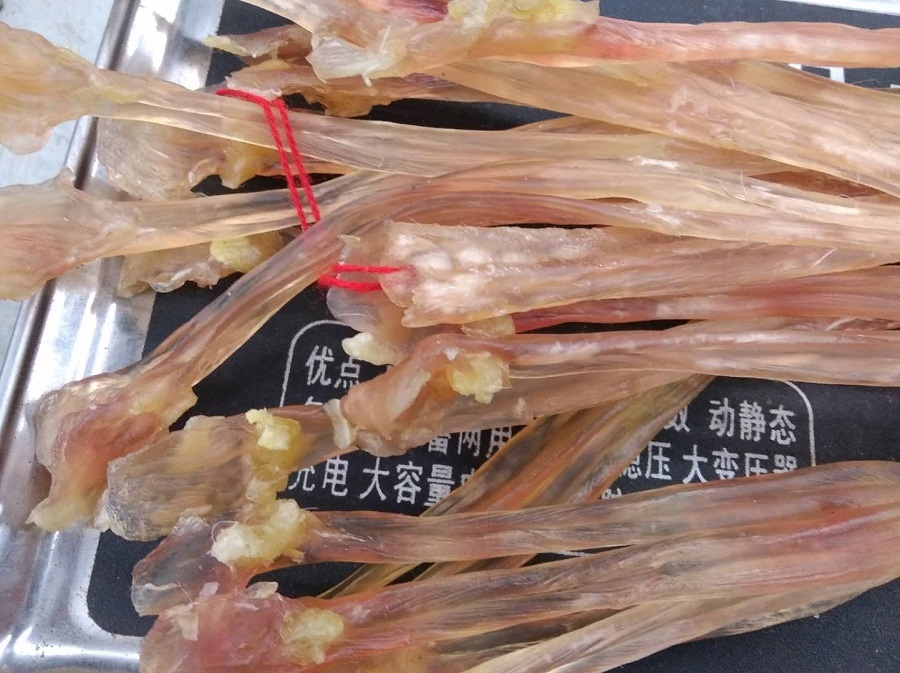 Dried Beef Tendon