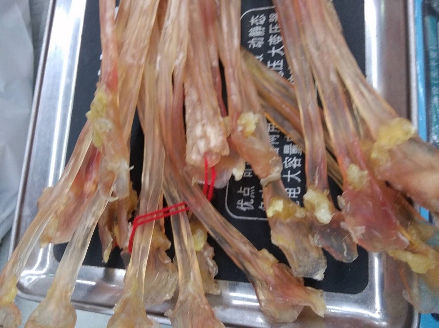 Dried Beef Tendon