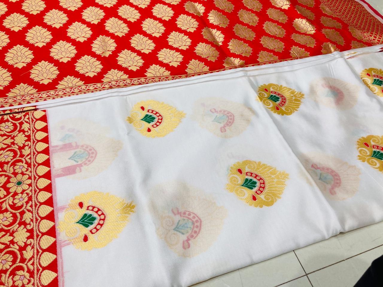 Multi Colour Saree New Launch