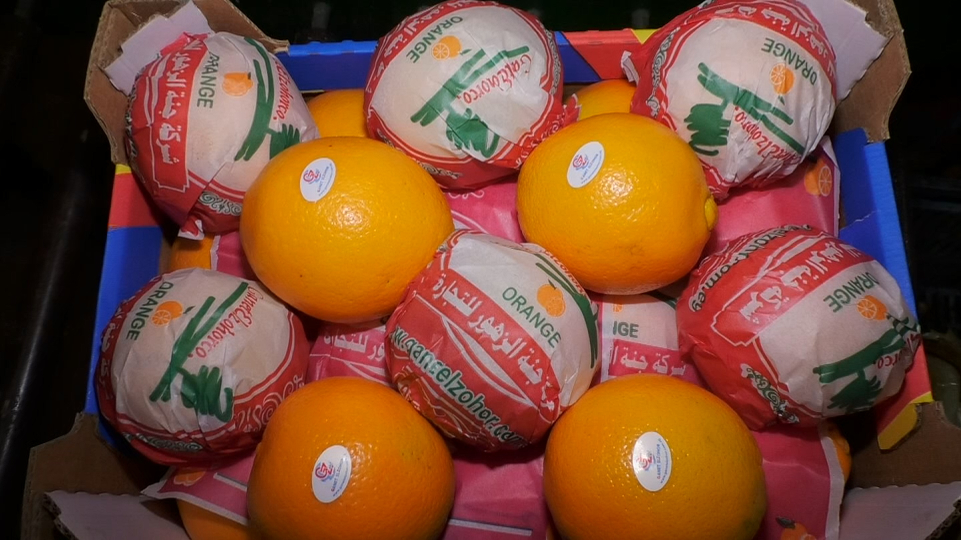 Neval Orange - Fresh Organic Citrus Fruits, Size 22mm To 113mm, Round Shape, Sweet And Easy-to-peel, Suitable For Salads And Baking