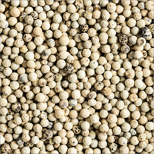 White Pepper - Premium Quality White Spice | Low-Calorie Flavor Enhancer, Dry Place Storage, Customized Weight Options