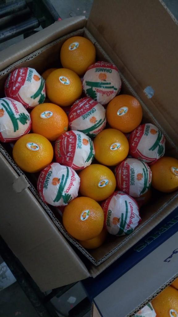 Egyptian Valencia Orange - 100% Organic Whole Citrus Fruits 15kg Carton | Grade A Quality Fresh Crop Size 22mm To 113mm Lasting Shelf Life
