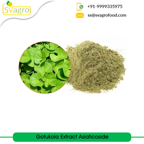 Herbs Powder Centella Asiatica Extract