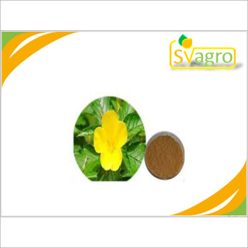 Herbs Powder Damiana Extract