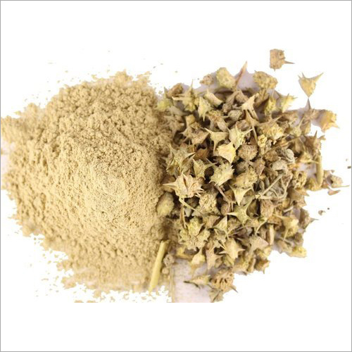 Tribulus Extract - High Potency Herbal Supplement | Supports Libido & Athletic Performance