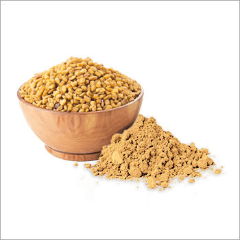 Common Fenugreek Extract Powder