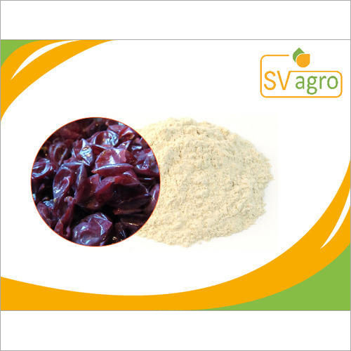 Resveratrol 98% Extract Grade: Na