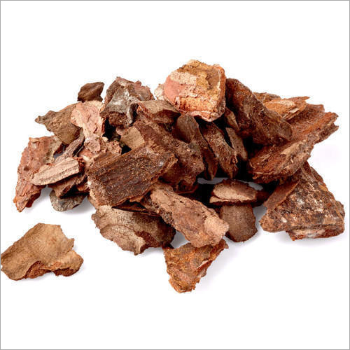 Dark Brown Natural Pine Bark Extract