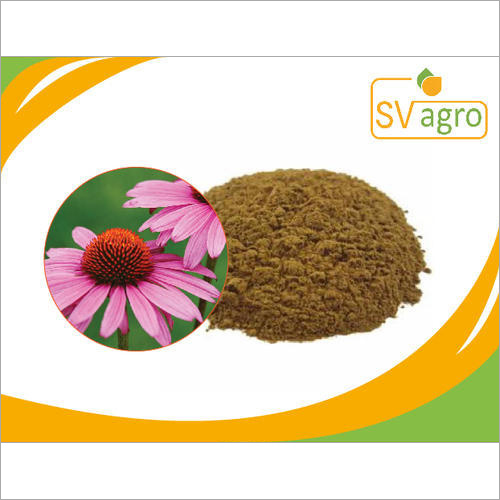 Pink And Dark Brown Echinacea Extract