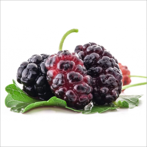 Mulberry Leaf Extract - 99% Purity, Dark Purple Powder | Water Extracted, Boosts Immunity, High Antioxidant, Improves Metabolism, Natural Ingredient, Reduces Inflammation, Rich in Vitamins