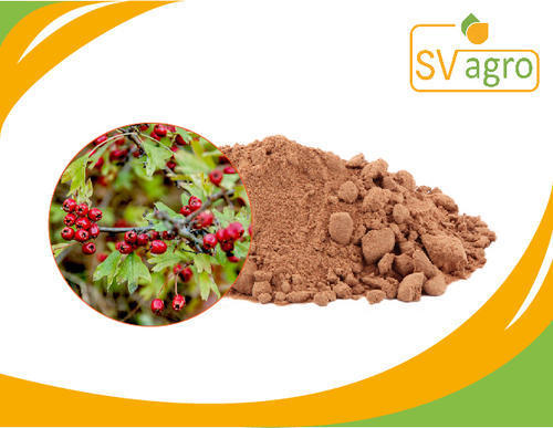 Red Hawthorn Berry Extract