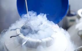 Liquid Nitrogen - Ultra-High Purity, Cryogenic Preservation Fluid for Laboratory Applications