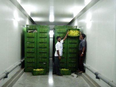 Vegetable Cold Room Capacity: 1-5 Ton/day
