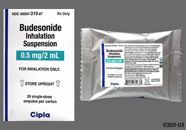 Budesonide Capsule General Medicines