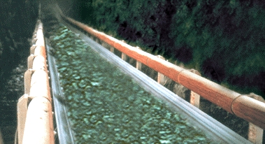 Solid Woven Conveyor Belt 