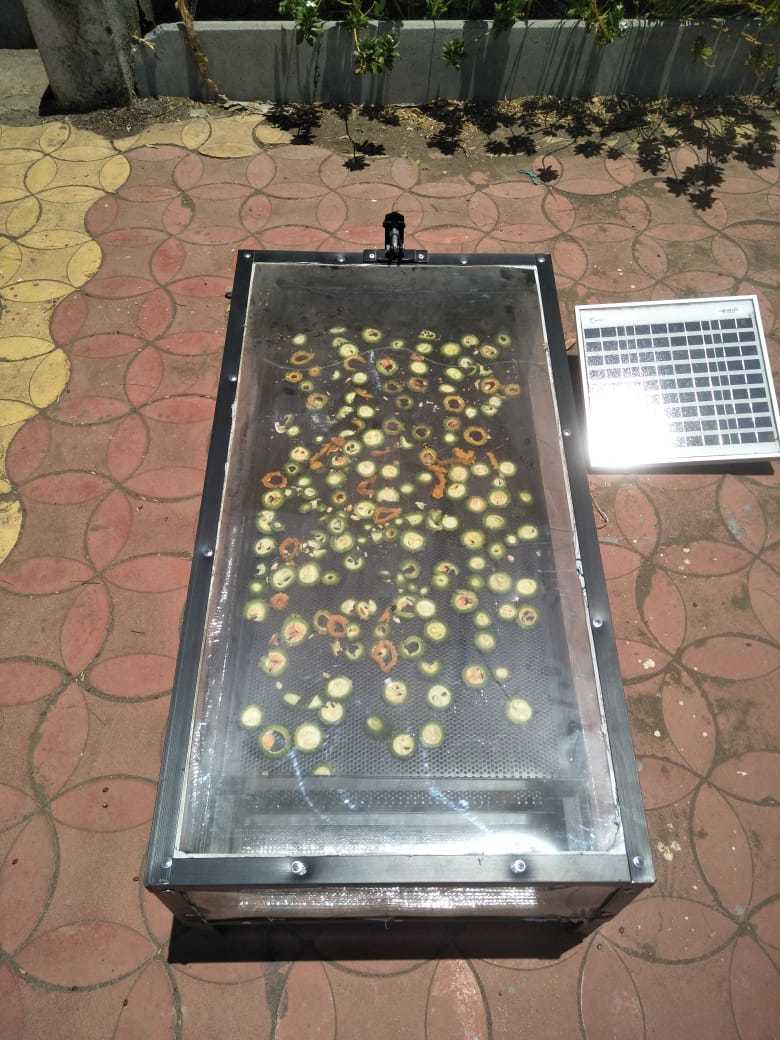 Stainless Steel Solar Dryer For Olives Leaf