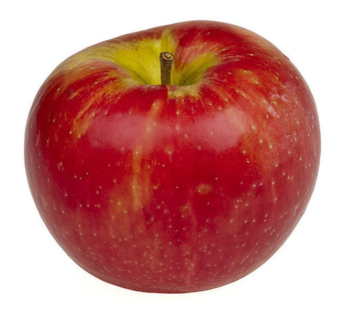 Fresh Apple