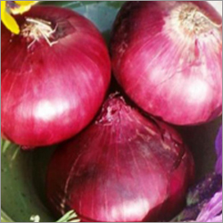 Red Onion