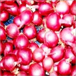 Red Onion