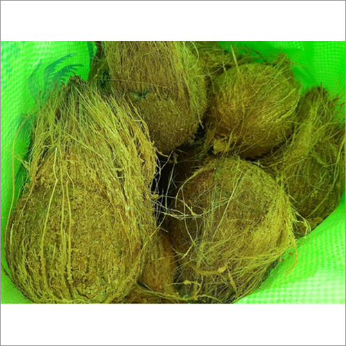 Husk Coconut - 500kg Semi-Husked Fresh Round Brown Whole | Matured and Young Coconut Variety