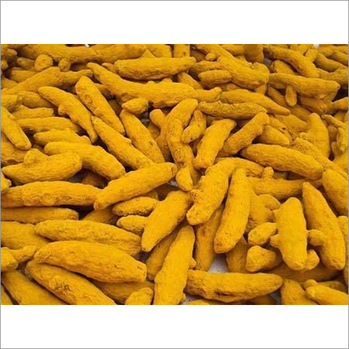 Dried Yellow Turmeric Finger