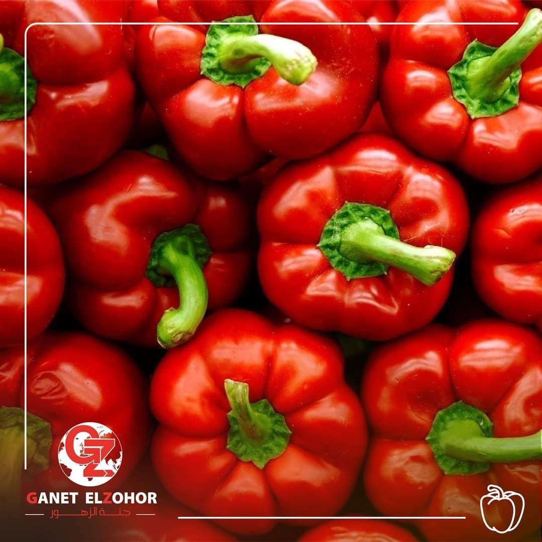 Bell Pepper Moisture (%): 100%