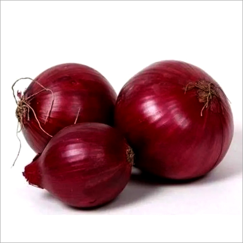 Fresh Red Onion - Shape: Natural